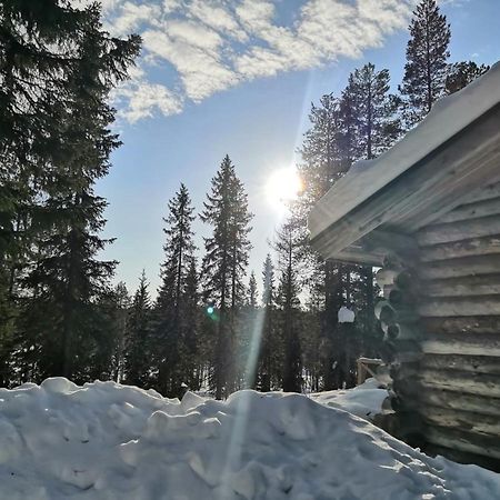 סיוטה Mantytupa Lodge מראה חיצוני תמונה