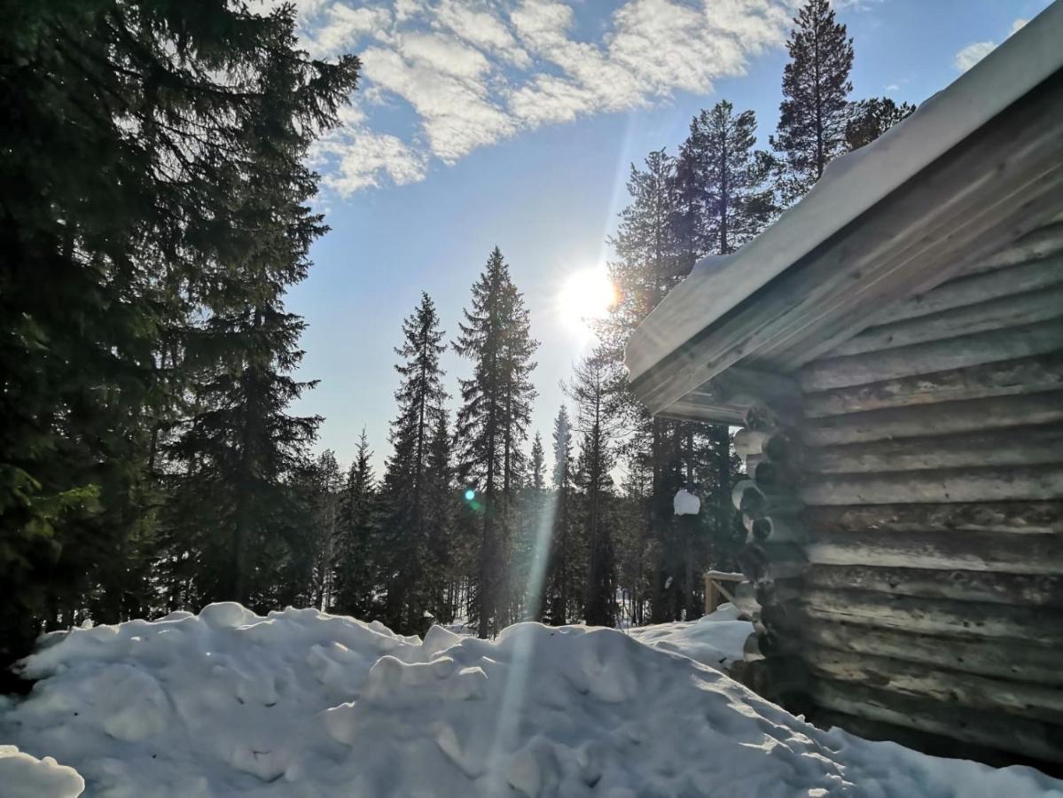סיוטה Mantytupa Lodge מראה חיצוני תמונה